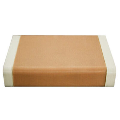 Essential Simulator Phantom Ultrasound